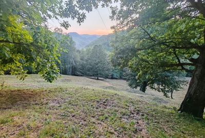 Teren de 7000 mp, în Grădiștea de Munte - 6