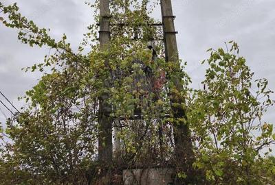 Teren de 45500 mp, în Albert - 1