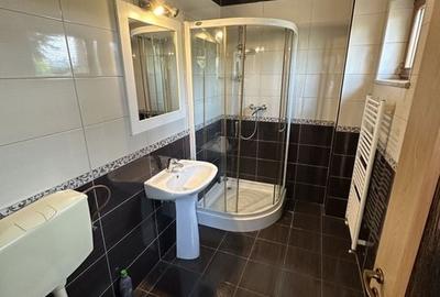 Proprietate cu piscina Dumbravita - 20