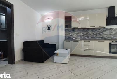 Garsonieră, mobilată în Rogerius - 16
