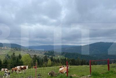 Ocazie! Casa de vacanta cu vedere la Lacul Belis - 6