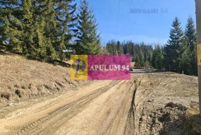 Teren de vânzare în Predeal - Zona Forban - 7