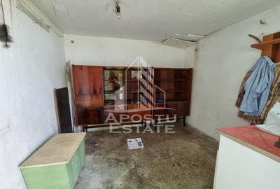 Casa individuala cu 3 camere in Calea Sagului, cu curte spatioasa - 10