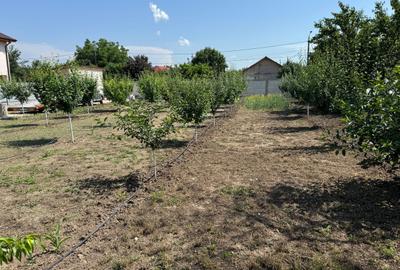 Teren de 880 mp, în Exterior Vest - 5