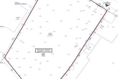 Teren de 1967 mp, în Mărăcineni - 1