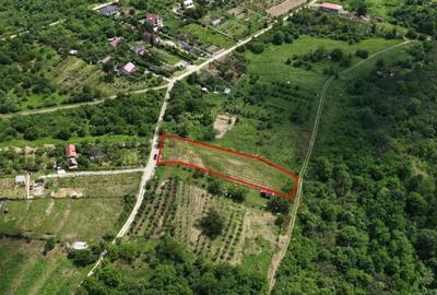 Teren Construcții intravilan de 2452 mp, în Dealuri Oradea