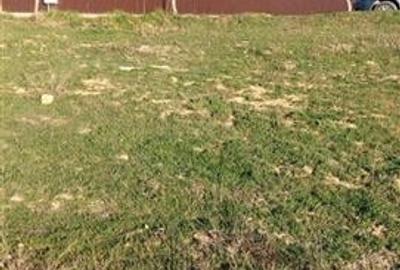 Teren TOP 1400mp /18ml stradal  Vanatori (Odaia Manolache) - 6