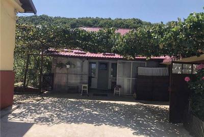 Casă cu 3 camere în Dobrogostea - 5