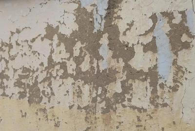 Casă cu Teren 120 Mp în Cenaloș - 5