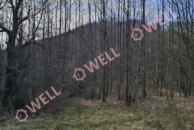 Spațiu comercial, în Central - 5