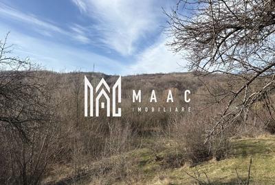 Teren  extravilan I 5300 mpI  Salatrucel -Calimanesti - 4