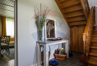 Vanzare vila, Stefesti-Prahova - 15