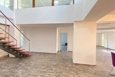 Penthouse cu 7 camere decomandat în Herăstrău - 10