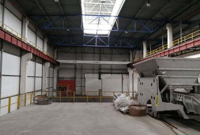 Birouri, spatiu industrial, hale Zona Libera Giurgiu ID 17096 - 1