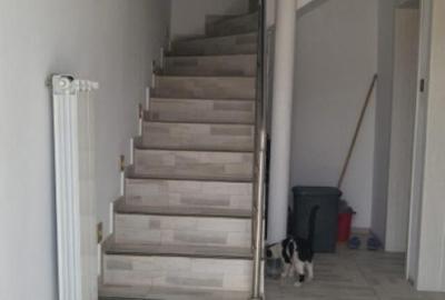 Vila P+1 Mihailesti Vila P+1 Mihailesti - 10