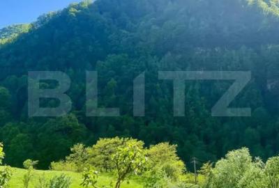 Casă cu 3 camere cu Teren 1470 Mp în Șugag - 5