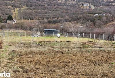 Teren de 1000 mp, în Dumitra - 2