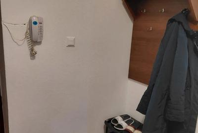 Apartament 1 camera de inchiriat - 9