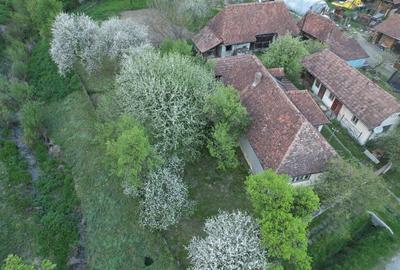 Casă individuală cu 5 camere cu Teren 2100 Mp în Ghinești - 3