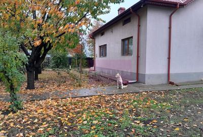 ISLAZ / IF - CASA P+1 (7 CAM) DE VANZARE - 5