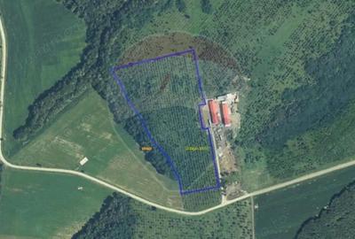 Teren 70,808mp ( sat Cuied - comuna Buteni ) - 2