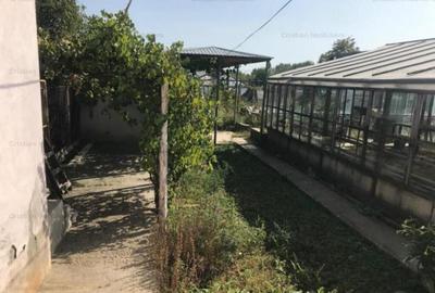 Casa 4 camere 250mp util Varsatura, 1000mp teren - 4