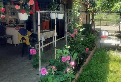 Casă cu 3 camere cu Teren 1300 Mp în Bretea Mureșană - 7