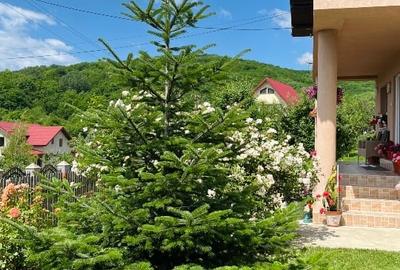 Casă individuală cu 4 camere cu Teren 1670 Mp în Central - 7