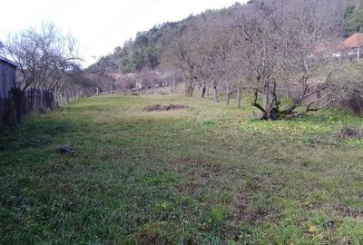 Casă cu 3 camere cu Teren 1500 Mp în Morlaca - 1