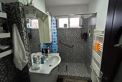 Apartament cu 2 camere semidecomandat, mobilat în Podu Roș - 8