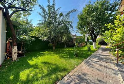 Vanzare Afacere Activa - Hotel - 4 Nivele 750 mp - 5