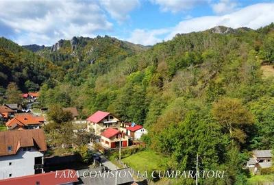 CABANA DE LA MUNTE, UN LOC FERMECATOR - 2