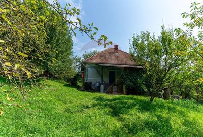 Casă individuală cu 3 camere cu Teren 9995 Mp în Ormindea - 39