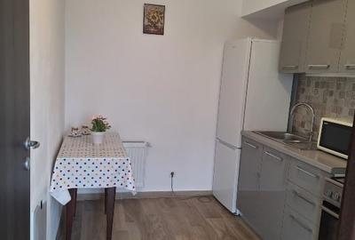 Particular închiriez  garsonieră cu parcare subterană,  Moghioros Park Residence - 3