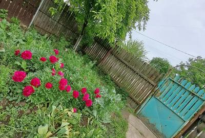 Casa, com. Ileana, Calara?i - 8