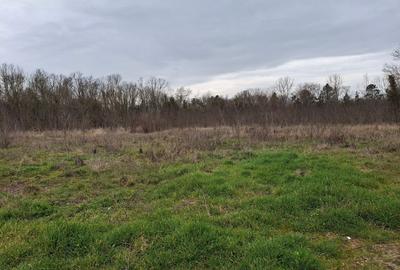 Teren Construcții intravilan de 1750 mp, în Central - 7