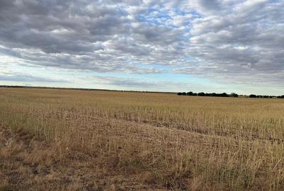 Teren intravilan Branesti - 4