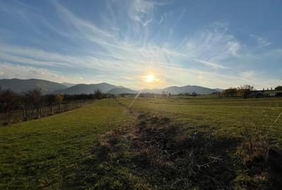 Teren de vanzare ideal pentru cabana Ra?inari, jud. Sibiu (2000 mp