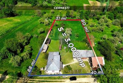 Casă individuală cu 3 camere cu Teren 3000 Mp în Cernești - 5