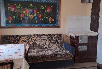 Casă cu Teren 700 Mp în Teiu - 10