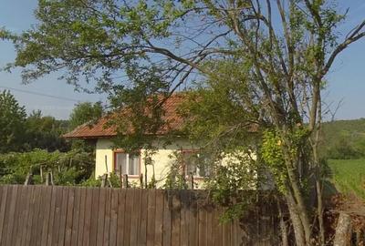 Casă cu 3 camere cu Teren 2000 Mp în Magherești - 3