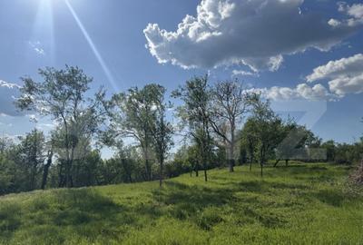 Teren intravilan de vanzare, 15080 mp, zona Tatara?ti - 5