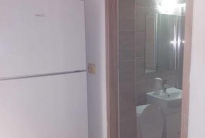 Apartament cu 2 camere nedecomandat, mobilat în Tătărași - 2