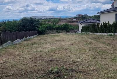 Teren de 1000 mp, în Zăvoi - 3