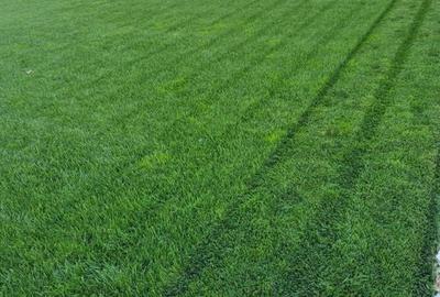 Locuinta individuala cu teren de 1000mp Locuinta individuala cu teren de 1000mp - 3