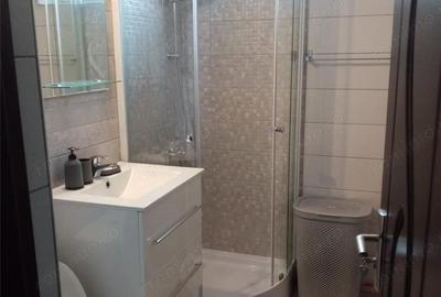 Apartament cu 2 camere decomandat în Ozana - 2