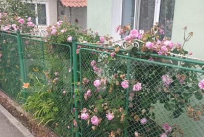 Casa cu 2 camere, 52mp, zona Remetea - 9