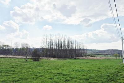 Teren agricol extravilan de 5132 mp, în Nord - 2