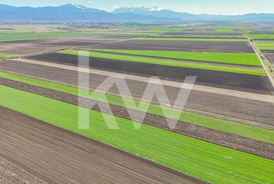 Vanzare teren extravilan agricol Halchiu 15000mp - 1