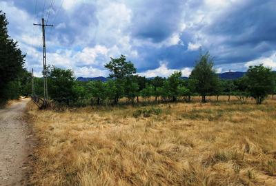 Teren Construcții intravilan de 2478 mp, în Polovragi - 8